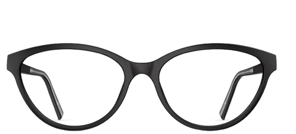 Timeless Black Acetate Elegance