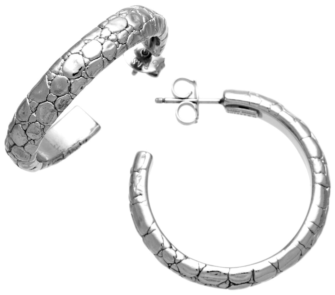 Timeless Silver Hoop Elegance with Subtle Shine