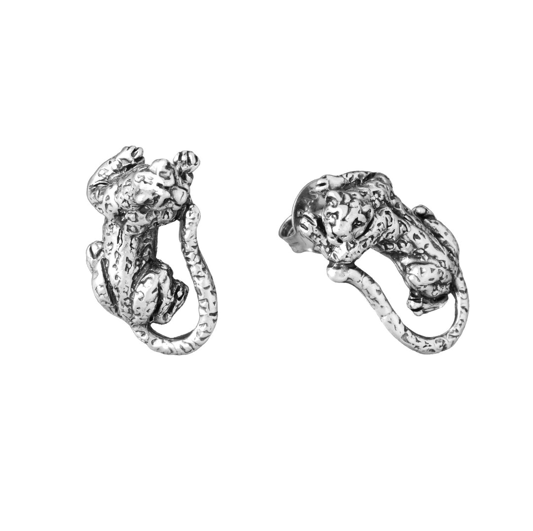 Sleek Silver Studs with Timeless Appeal