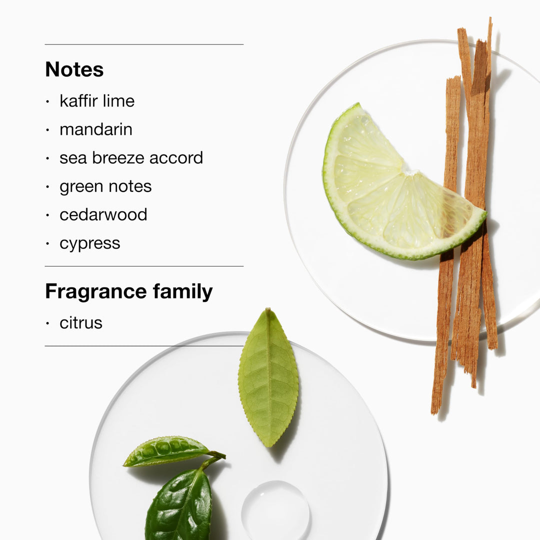 100 ml citrus aromatic cologne spray in clear bottle for Man