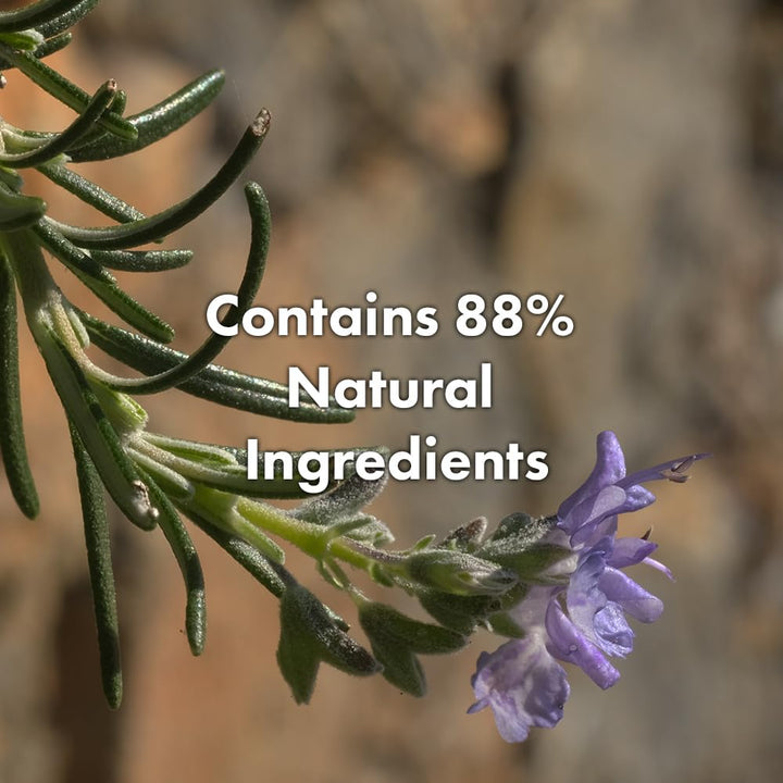 Clear spray bottle of rosemary and coconut detangling hair mist, 80 ml
